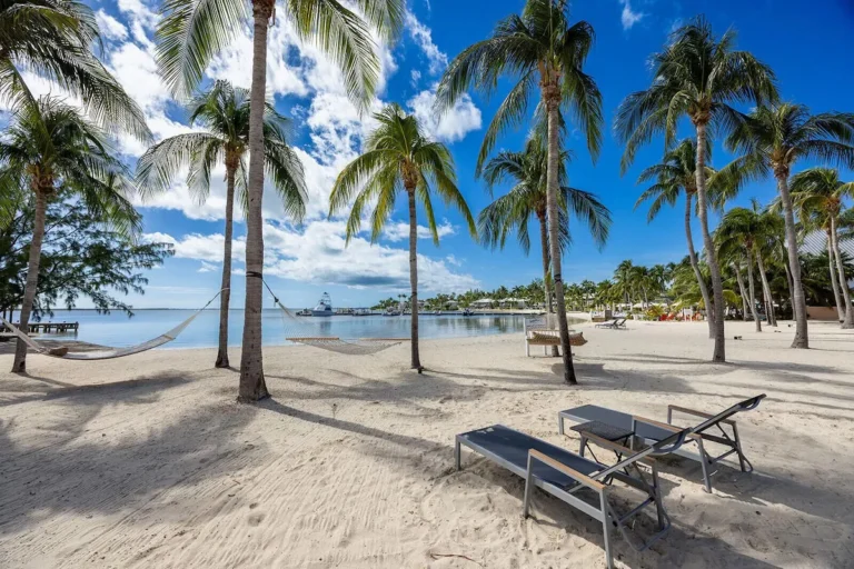 Beach loungers beneath palms beside the calm water