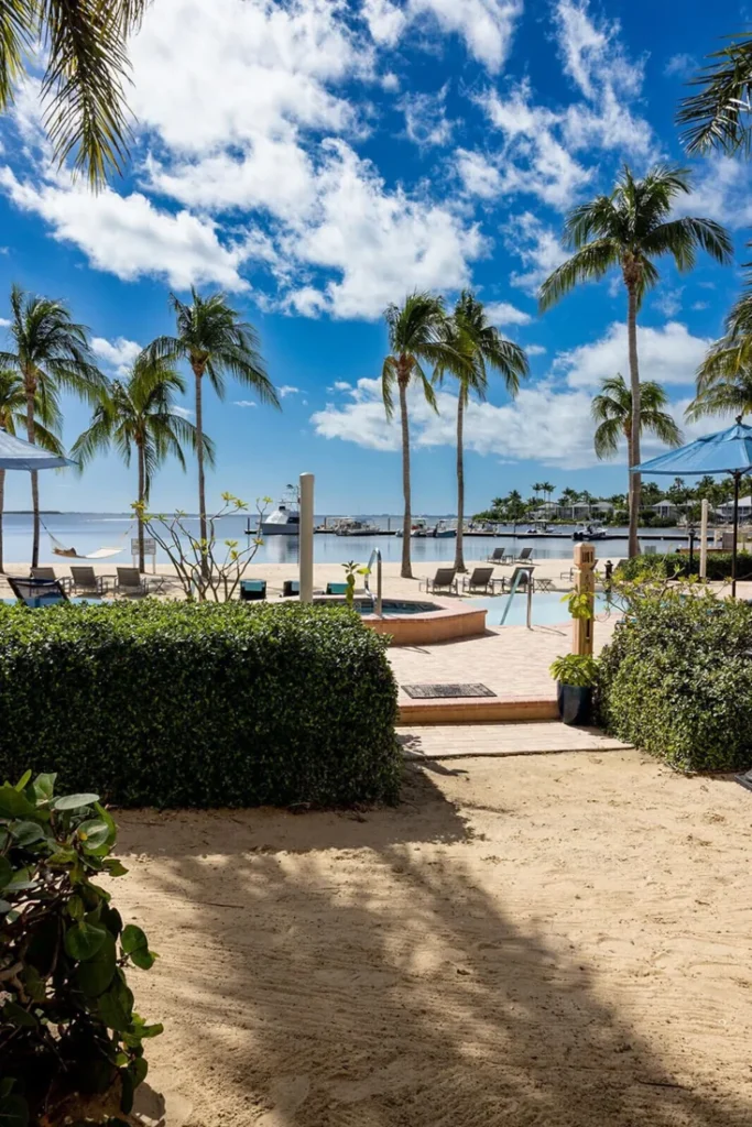 Palm-lined waterfront and outdoor seating beside the condo